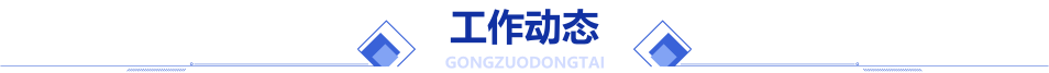 工作动态