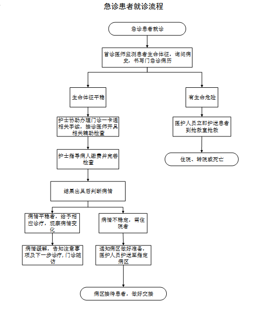 急诊患者就诊流程.png